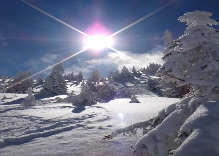 Kitzkamm By Managers شقة