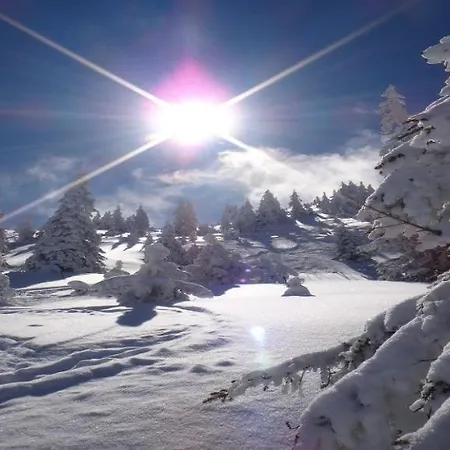 Kitzkamm By Managers Apartamento